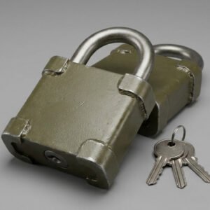Padlock Set, Keyed Alike — Contractor — Area 15 Supply Co. product photograph